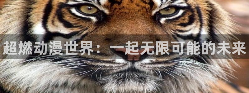 91动漫动画片大全